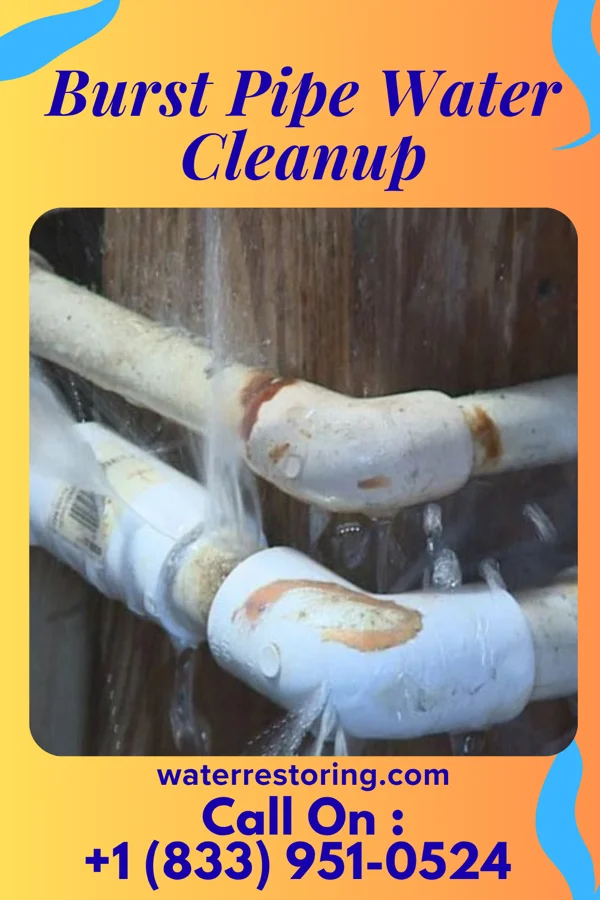 Burst Pipe Water Cleanup in Missouri City, MO