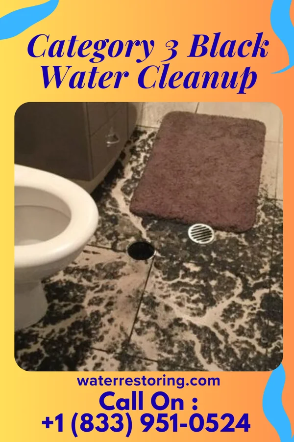 Category 3 Black Water Cleanup in Missouri City, MO