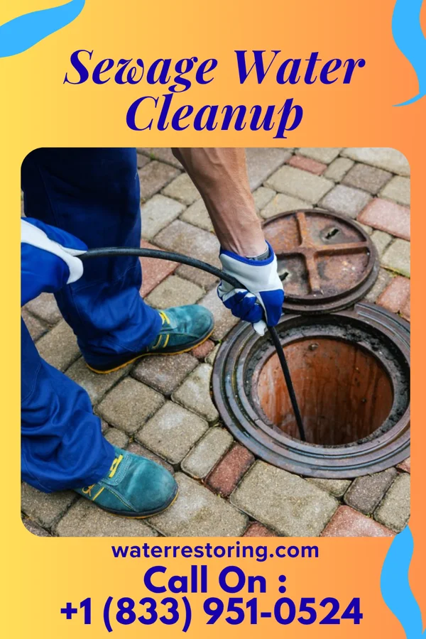 Sewage Water Cleanup in Missouri City, MO